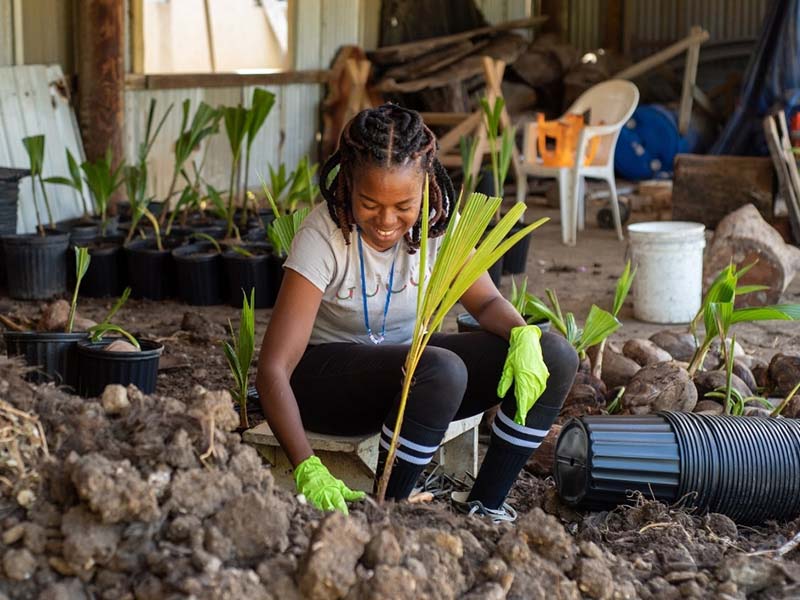 Read more about the article Plant Care