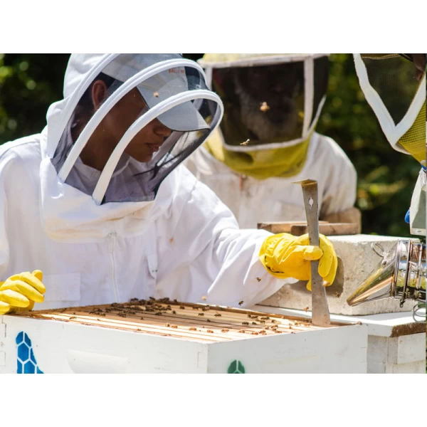 Bee Keeping
